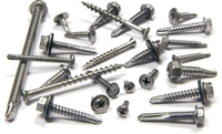 MSP-STAINLESS STEEL SCREW